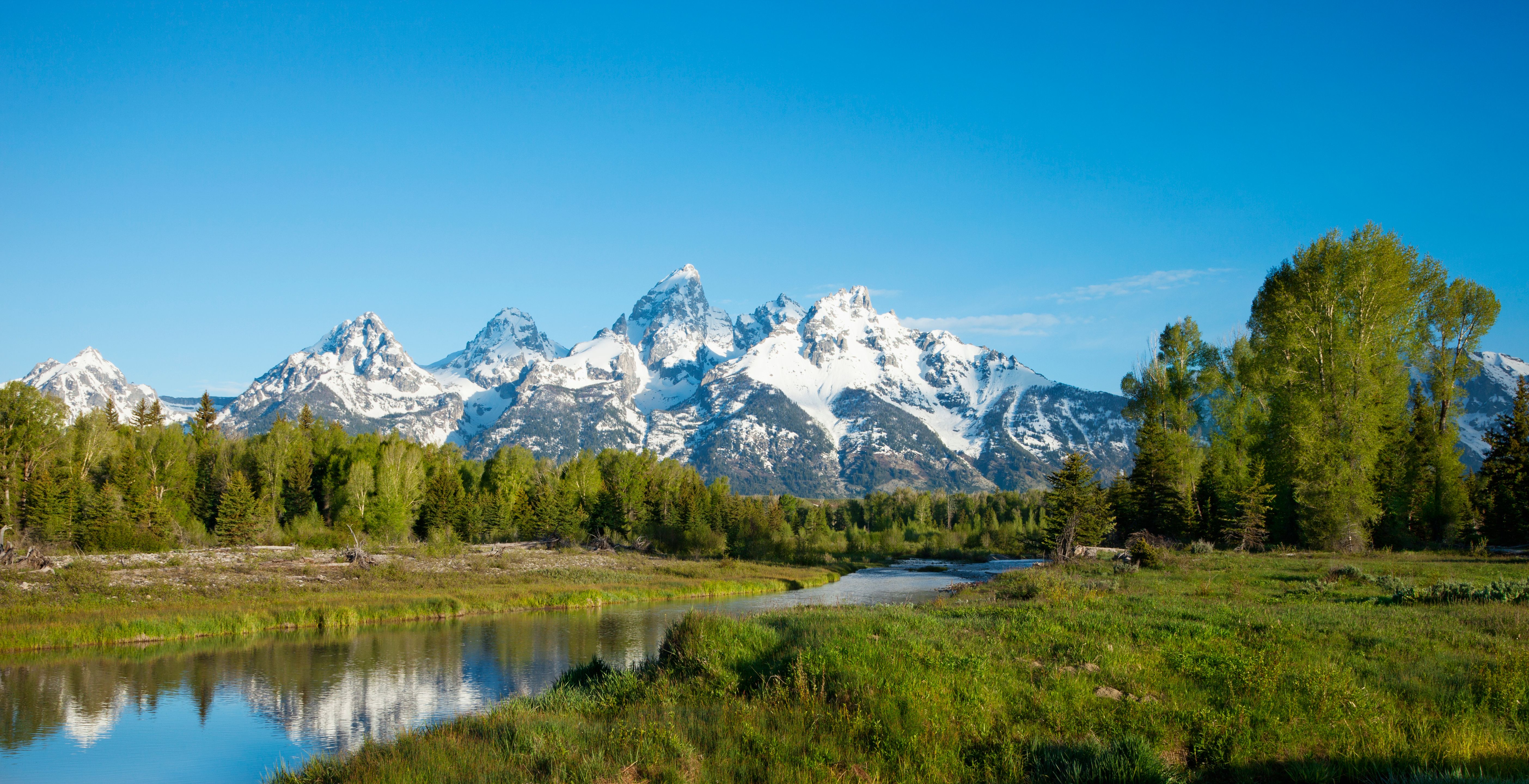 grand-teton-mountains-behind-river-and-trees-in-morning